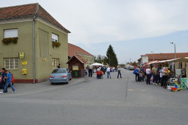 Miholje 2012